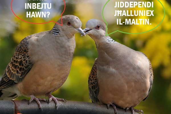 spring hunting malta referendum